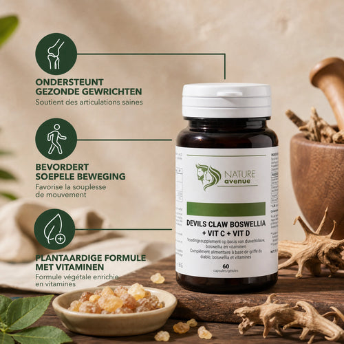 Devil's Claw & Boswellia