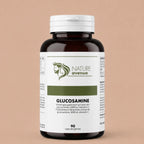 Glucosamine + MSM